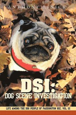 bokomslag Dsi: Dog Scene Investigation: Life Among the Dog People of Paddington Rec, Vol. III