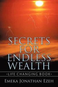 bokomslag Secrets for Endless Wealth