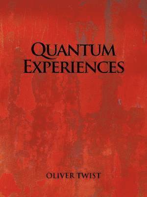 bokomslag Quantum Experiences