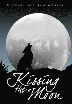 bokomslag Kissing the Moon