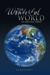 bokomslag Wonderful World