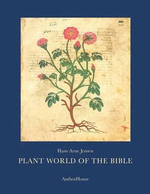 Plant World of the Bible 1