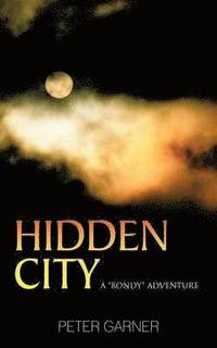 bokomslag Hidden City