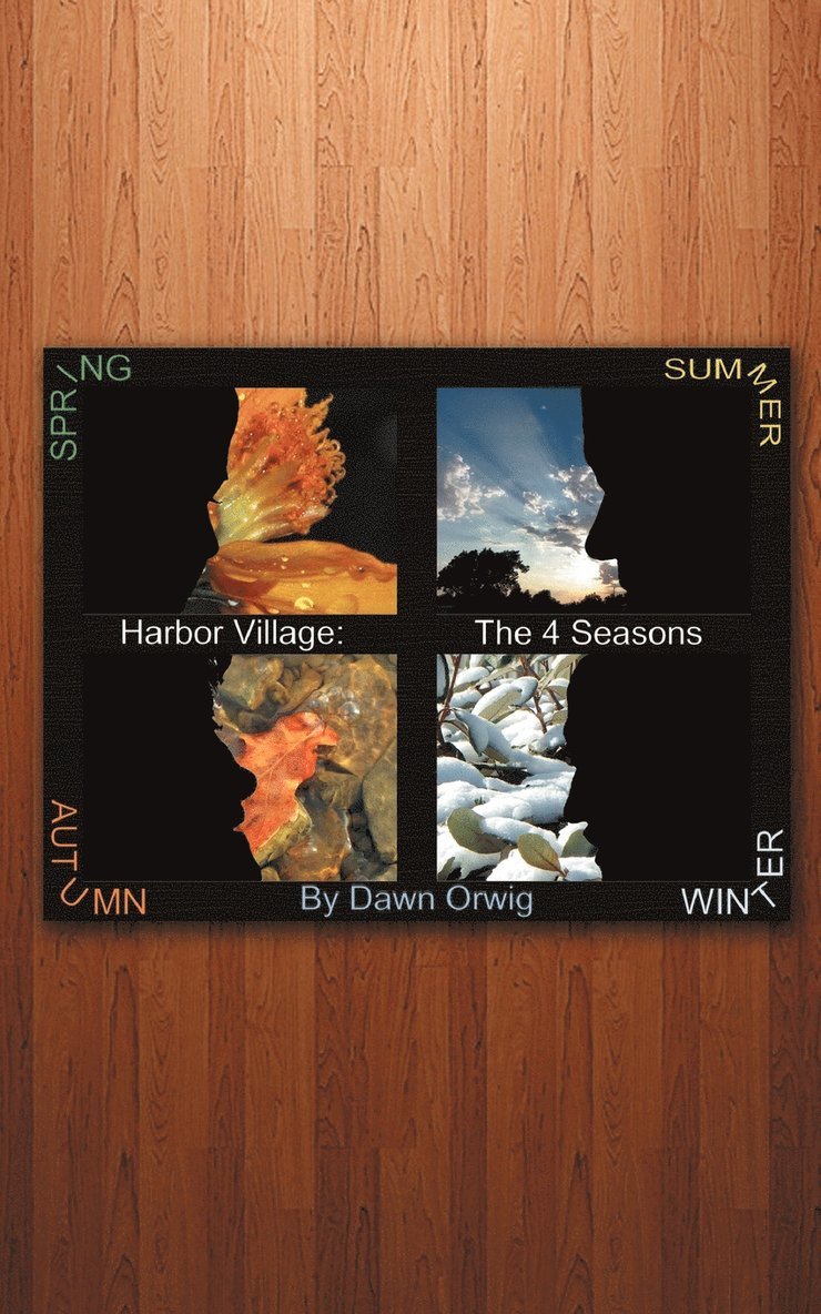 Harbor Village 1