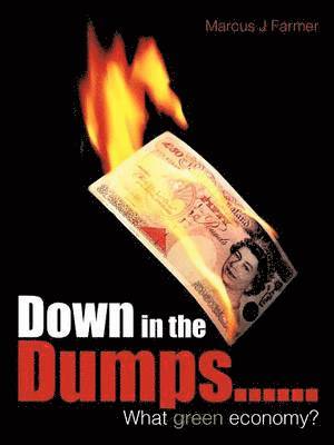 bokomslag Down in the Dumps......What Green Economy?
