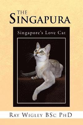 The Singapura 1