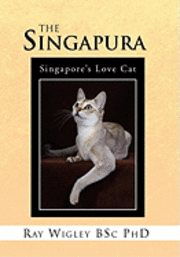 The Singapura 1