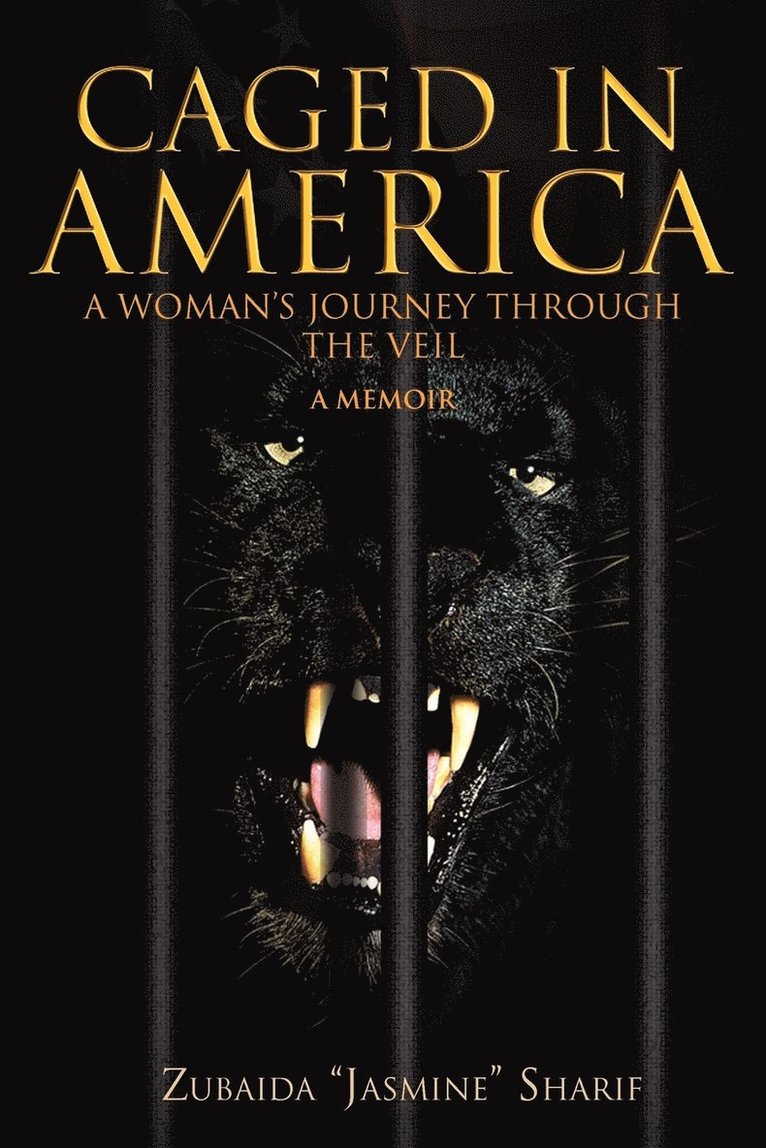 Caged in America 1