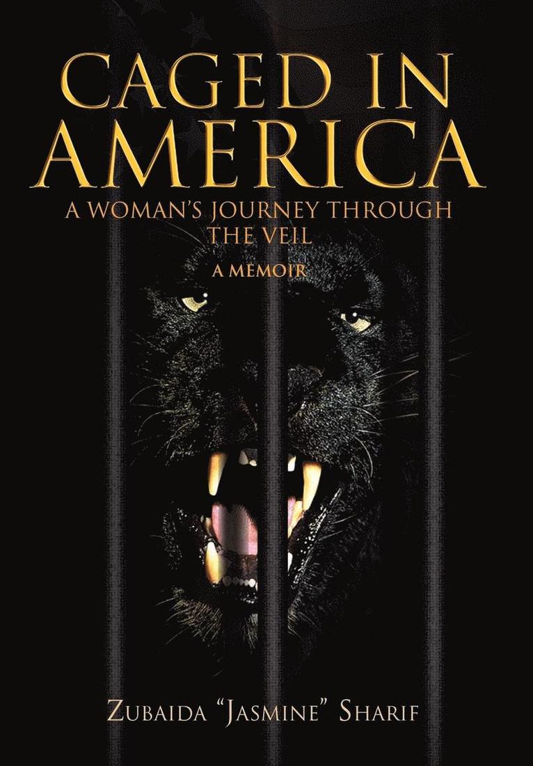 Caged in America 1