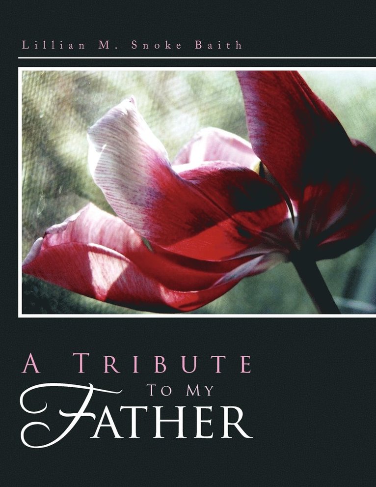 Lillian M Snoke Baith, Lillian M. Snoke Baith - Tribute to My Father, Häftad