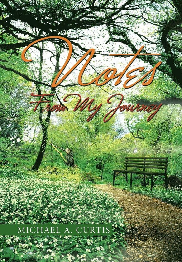 Michael A Curtis, Michael A. Curtis - Notes from My Journey, Inbunden