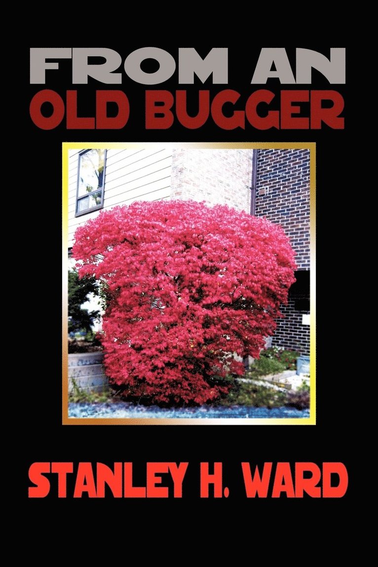 From an Old Bugger 1