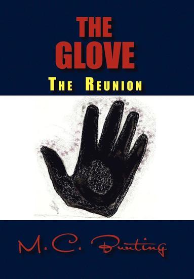 bokomslag The Glove