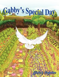 bokomslag Gabby's Special Day