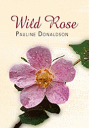 Wild Rose 1