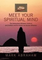 Meet Your Spiritual Mind 1