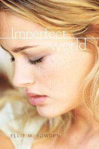 bokomslag Imperfect World