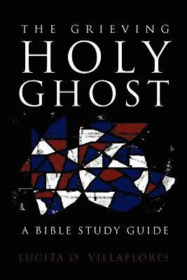bokomslag Grieving Holy Ghost