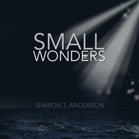 bokomslag Small Wonders