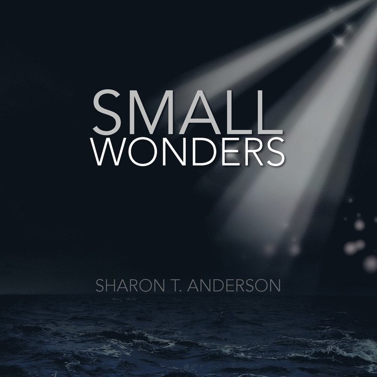 Small Wonders 1