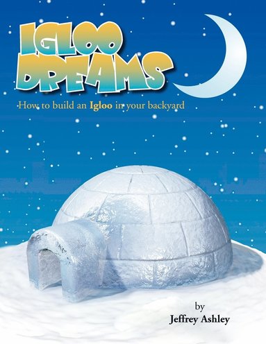bokomslag Igloo Dreams