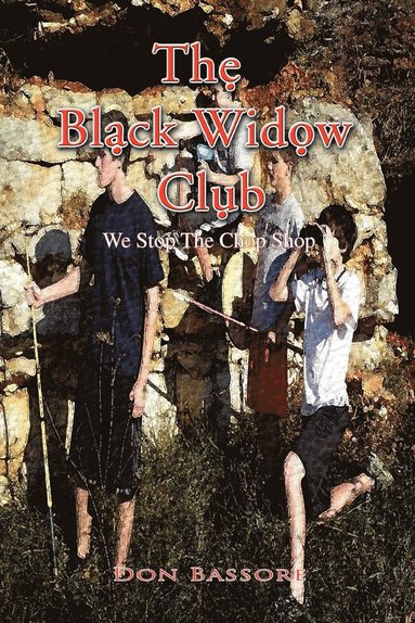 bokomslag The Black Widow Club