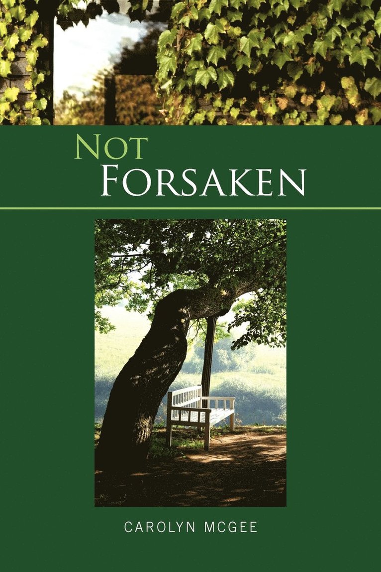 Not Forsaken 1