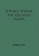 Place Where the Eelgrass Flows