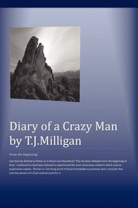 bokomslag Diary Of A Crazy Man