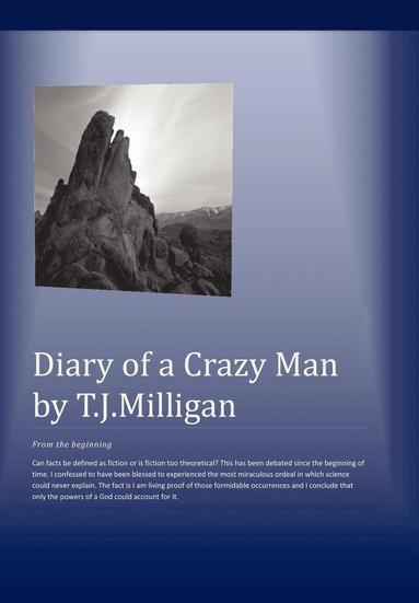 bokomslag Diary Of A Crazy Man