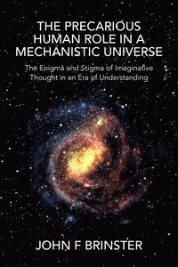 bokomslag The Precarious Human Role in a Mechanistic Universe