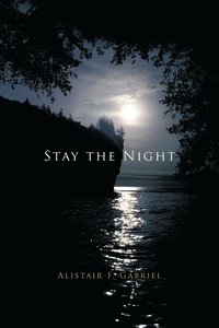 bokomslag Stay the Night