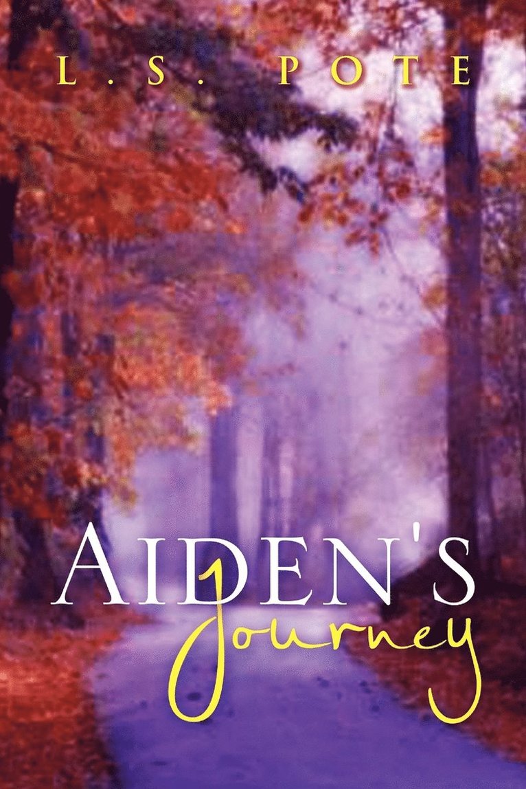 Aiden's Journey 1