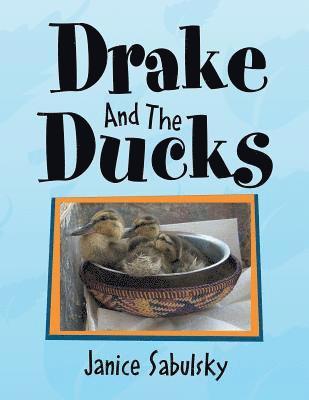 Drake and the Ducks 1