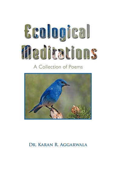 bokomslag Ecological Meditations