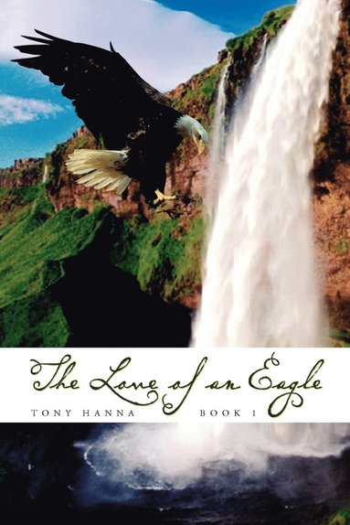 bokomslag The Love of an Eagle - Book 1