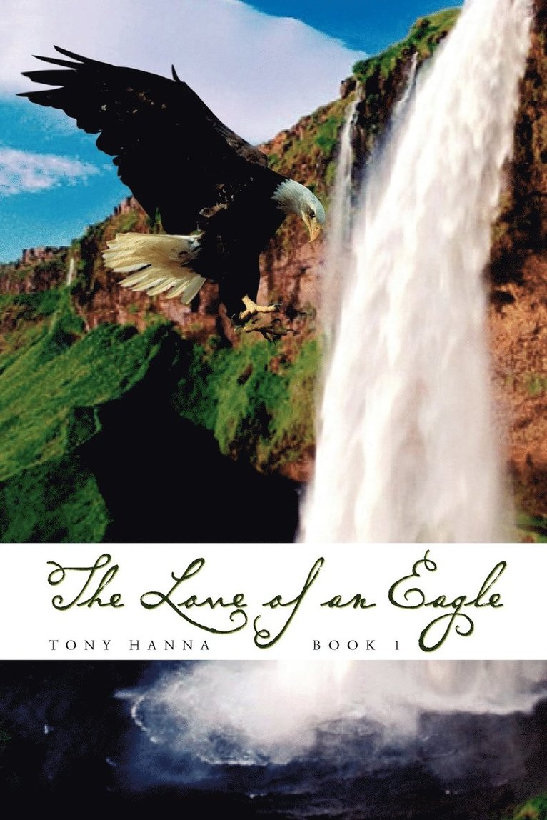 The Love of an Eagle - Book 1 1