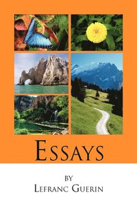 bokomslag Essays