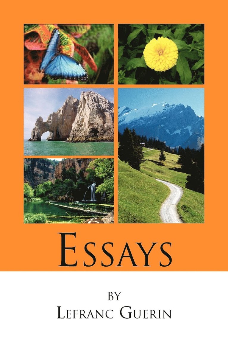 Essays 1