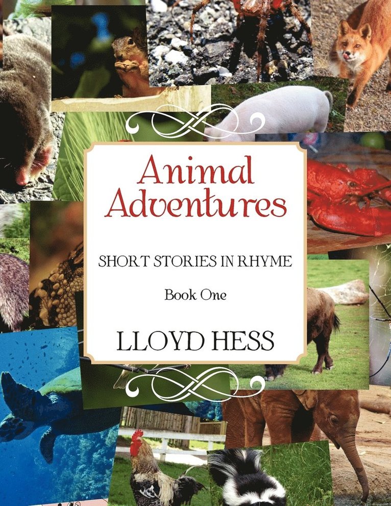 Animal Adventures 1