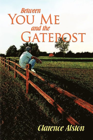 bokomslag Between You, Me and the Gatepost