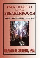 bokomslag Break Through To Your Breakthrough