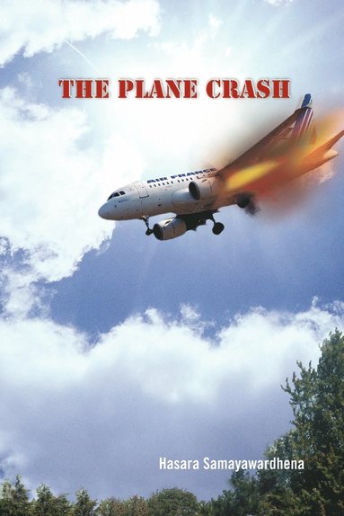 bokomslag The Plane Crash