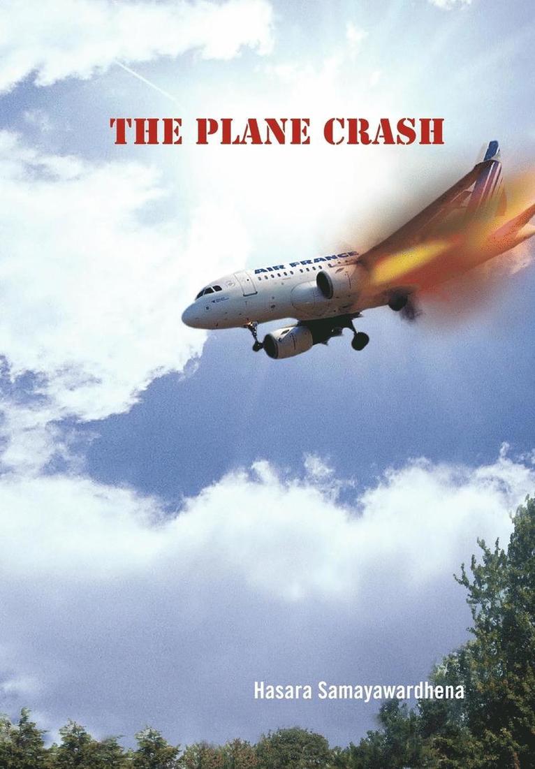 The Plane Crash 1