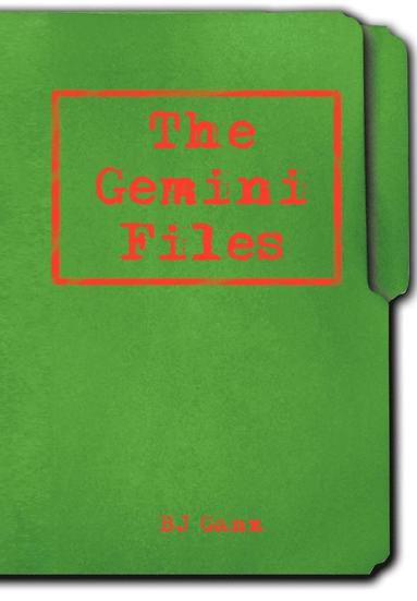 bokomslag Gemini Files
