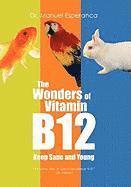bokomslag Wonders of Vitamin B12