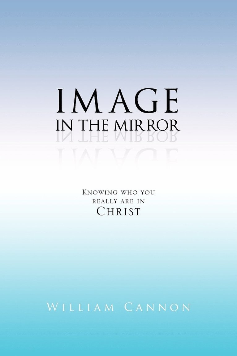 Image in the Mirror 1