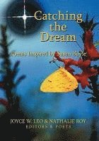 bokomslag Catching the Dream