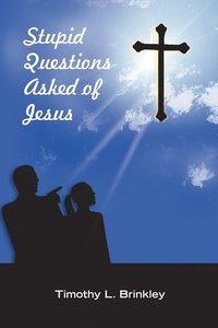 bokomslag Stupid Questions Asked of Jesus