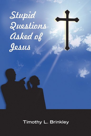 bokomslag Stupid Questions Asked of Jesus